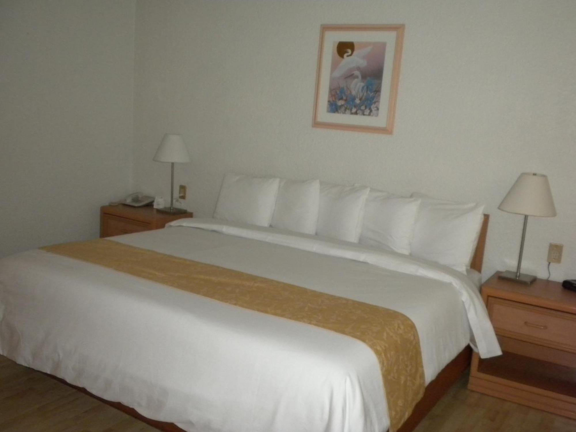Hotel PF Mexico By Eksteriør billede