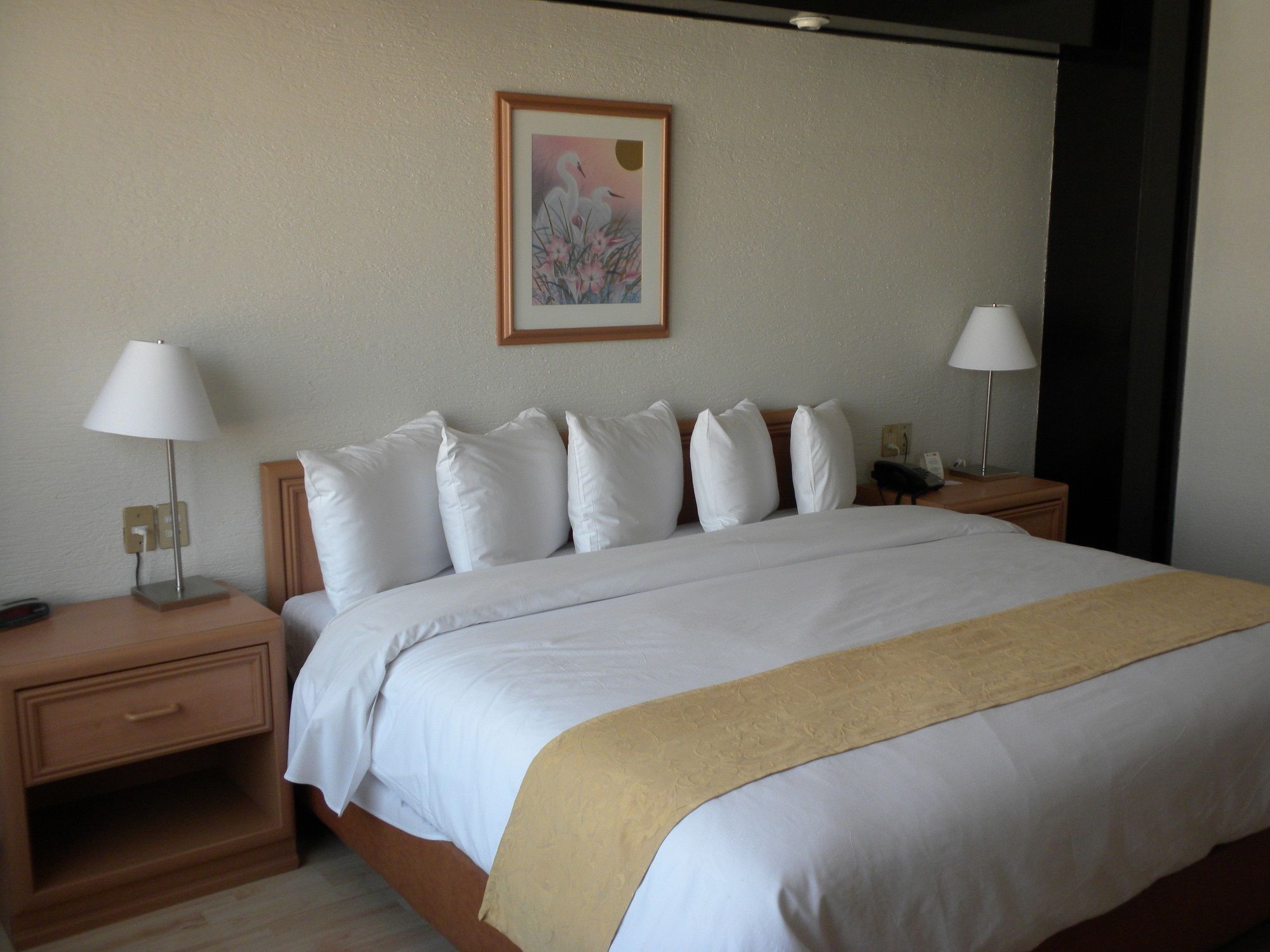 Hotel PF Mexico By Eksteriør billede