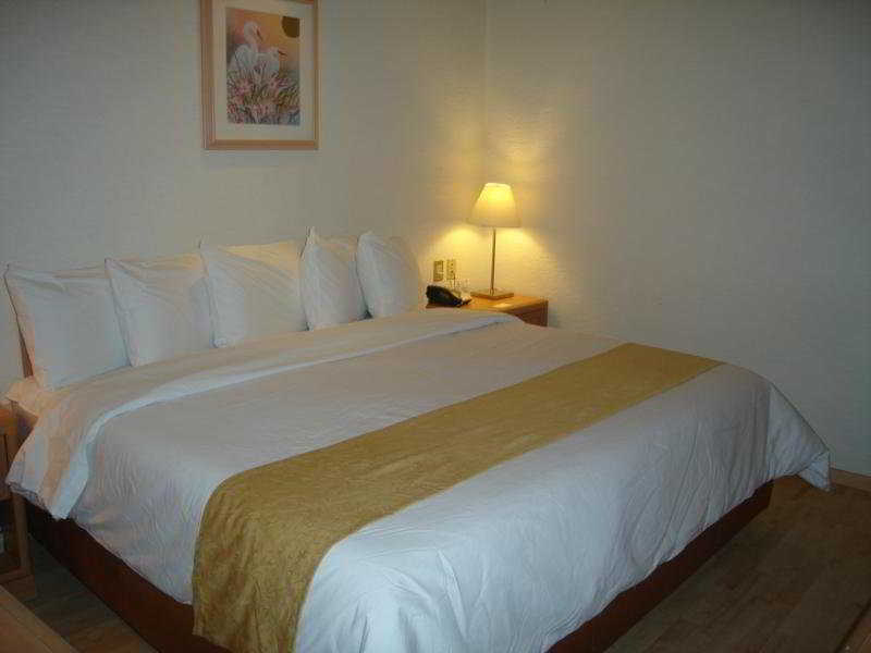Hotel PF Mexico By Eksteriør billede